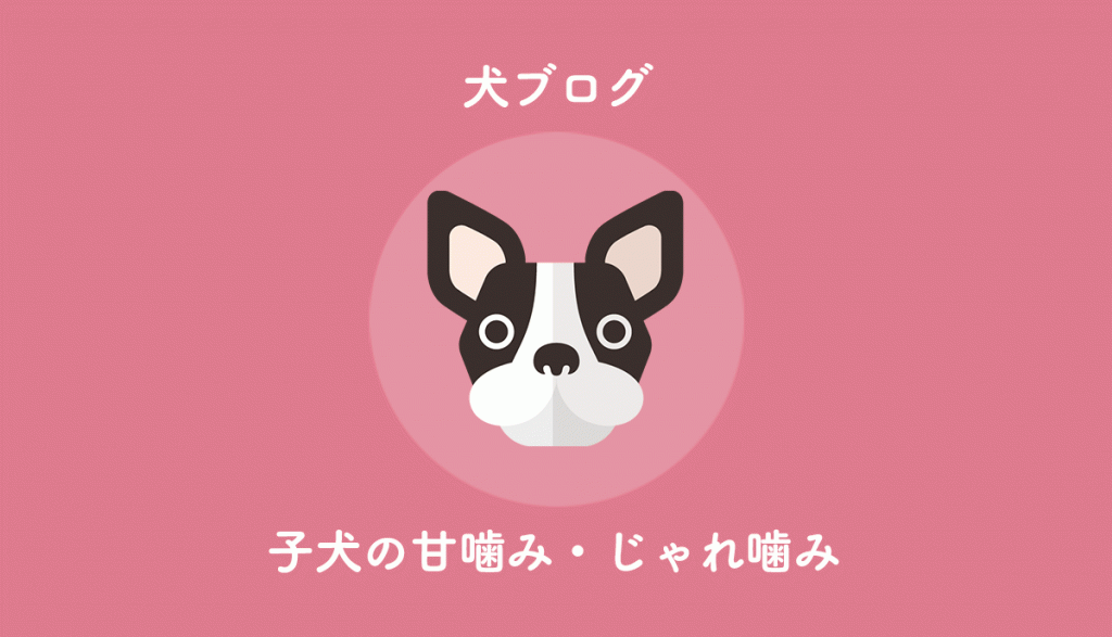 子犬の噛み癖 じゃれ噛み 甘噛みがひどい 対策やオススメのおもちゃ 一生ひろきゅんブログ