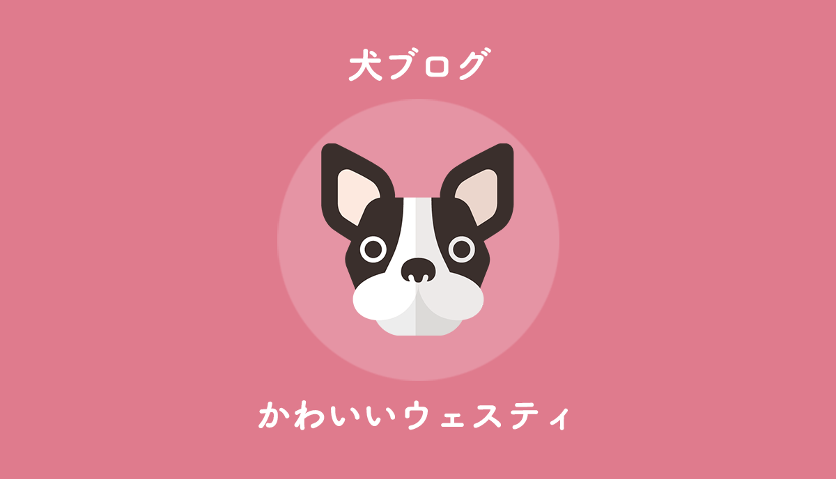 ウエスティというかわいい犬について 性格や購入方法など 一生ひろきゅんブログ